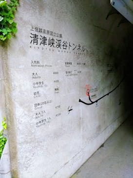 清津峡渓谷トンネルに投稿された画像（2021/8/12）