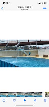 伊豆・三津シーパラダイスに投稿された画像（2021/8/12）