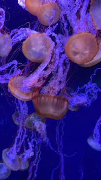 すみだ水族館に投稿された画像（2021/8/12）