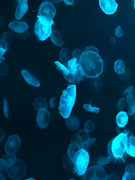 すみだ水族館に投稿された画像（2021/8/12）
