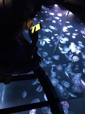 すみだ水族館に投稿された画像（2021/8/12）