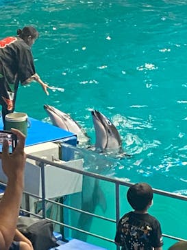 マクセル アクアパーク品川に投稿された画像（2021/8/12）