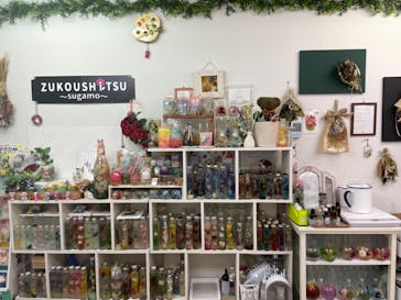 ずこうしつ〜sugamo〜に投稿された画像（2021/8/12）