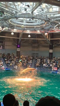 マクセル アクアパーク品川に投稿された画像（2021/8/12）