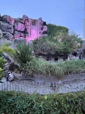 サンシャイン水族館に投稿された画像（2021/8/12）