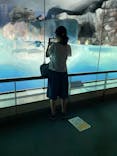 名古屋港水族館に投稿された画像（2021/8/12）
