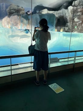 名古屋港水族館に投稿された画像（2021/8/12）
