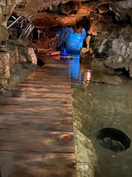 あぶくま洞に投稿された画像（2021/8/12）