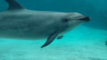 名古屋港水族館に投稿された画像（2021/8/12）