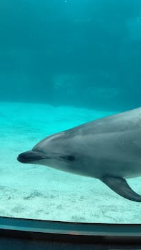 名古屋港水族館に投稿された画像（2021/8/12）
