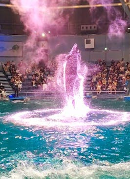 マクセル アクアパーク品川に投稿された画像（2021/8/12）