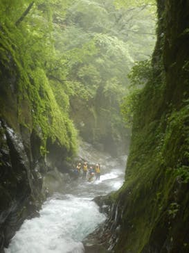 Nikko Jumbo（日光ジャンボ）に投稿された画像（2021/8/12）