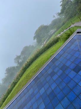 びわ湖バレイに投稿された画像（2021/8/12）