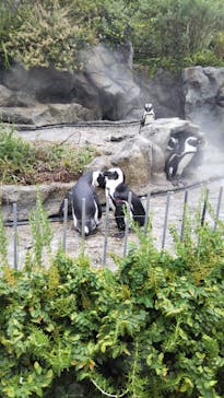 サンシャイン水族館に投稿された画像（2021/8/12）