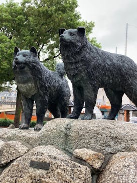 名古屋港水族館に投稿された画像（2021/8/12）