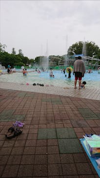 国営昭和記念公園 秋の夜散歩に投稿された画像（2021/8/12）