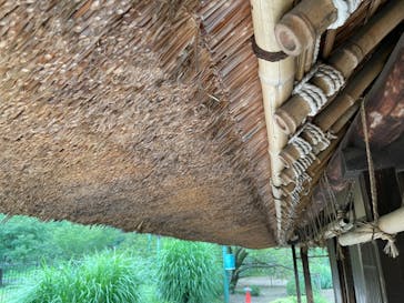 江戸東京たてもの園に投稿された画像（2021/8/12）