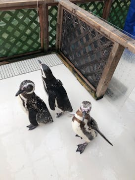 株式会社Gに投稿された画像（2021/8/12）