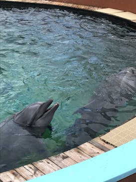 南知多ビーチランド＆南知多おもちゃ王国に投稿された画像（2021/8/12）