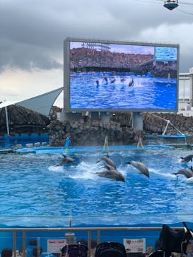 名古屋港水族館に投稿された画像（2021/8/12）