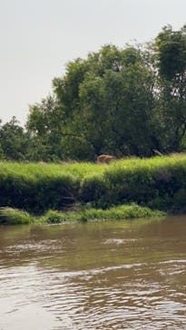 Old Place（オールドプレイス）に投稿された画像（2021/8/12）