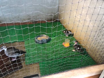 神戸どうぶつ王国に投稿された画像（2021/8/12）