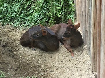 神戸どうぶつ王国に投稿された画像（2021/8/12）