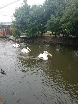 神戸どうぶつ王国に投稿された画像（2021/8/12）