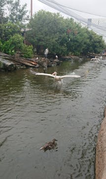 神戸どうぶつ王国に投稿された画像（2021/8/12）