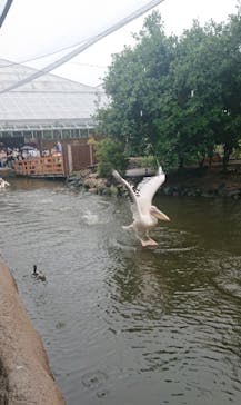 神戸どうぶつ王国に投稿された画像（2021/8/12）