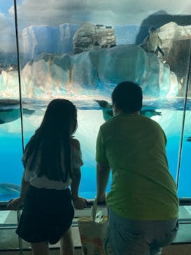 名古屋港水族館に投稿された画像（2021/8/12）