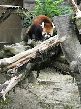 ひらかたパークに投稿された画像（2021/8/12）