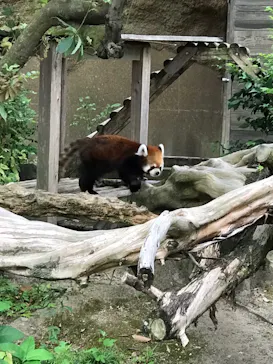 ひらかたパークに投稿された画像（2021/8/12）