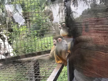 ひらかたパークに投稿された画像（2021/8/12）