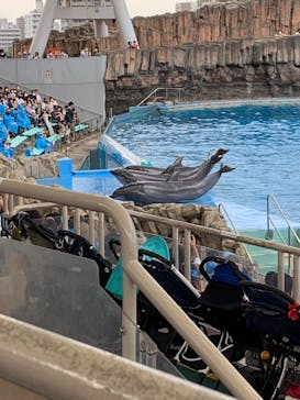 名古屋港水族館に投稿された画像（2021/8/12）