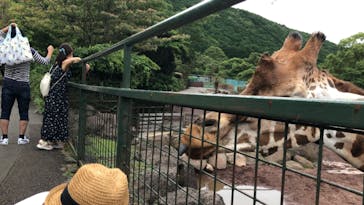伊豆アニマルキングダムに投稿された画像（2021/8/12）