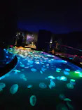 すみだ水族館に投稿された画像（2021/8/13）