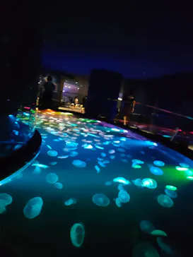 すみだ水族館に投稿された画像（2021/8/12）