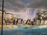 名古屋港水族館に投稿された画像（2021/8/13）