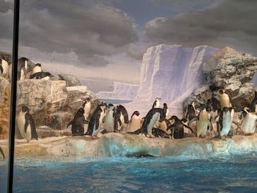 名古屋港水族館に投稿された画像（2021/8/12）