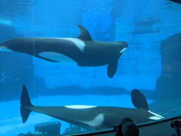 名古屋港水族館に投稿された画像（2021/8/12）