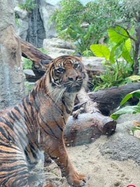 神戸どうぶつ王国に投稿された画像（2021/8/12）