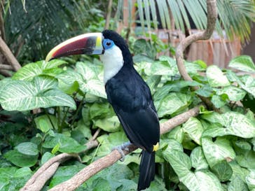 神戸どうぶつ王国に投稿された画像（2021/8/12）