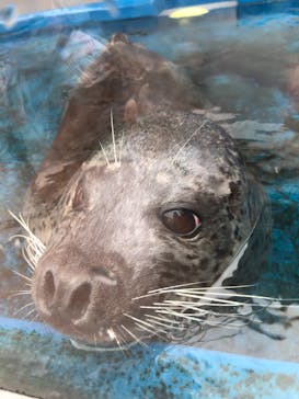 株式会社Gに投稿された画像（2021/8/12）