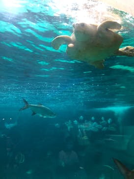 株式会社Gに投稿された画像（2021/8/12）