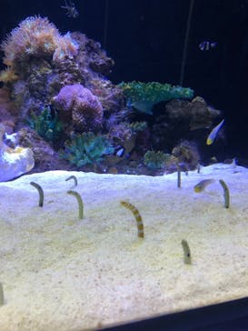 株式会社Gに投稿された画像（2021/8/12）