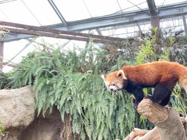 神戸どうぶつ王国に投稿された画像（2021/8/12）