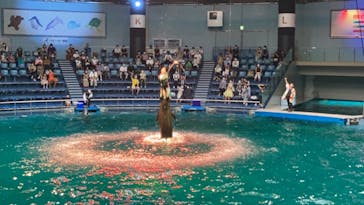 マクセル アクアパーク品川に投稿された画像（2021/8/12）