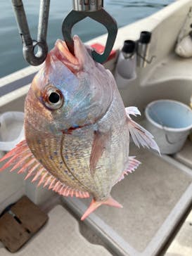 サルワーレ（周防大島店）に投稿された画像（2021/8/13）