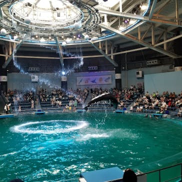 マクセル アクアパーク品川に投稿された画像（2021/8/13）